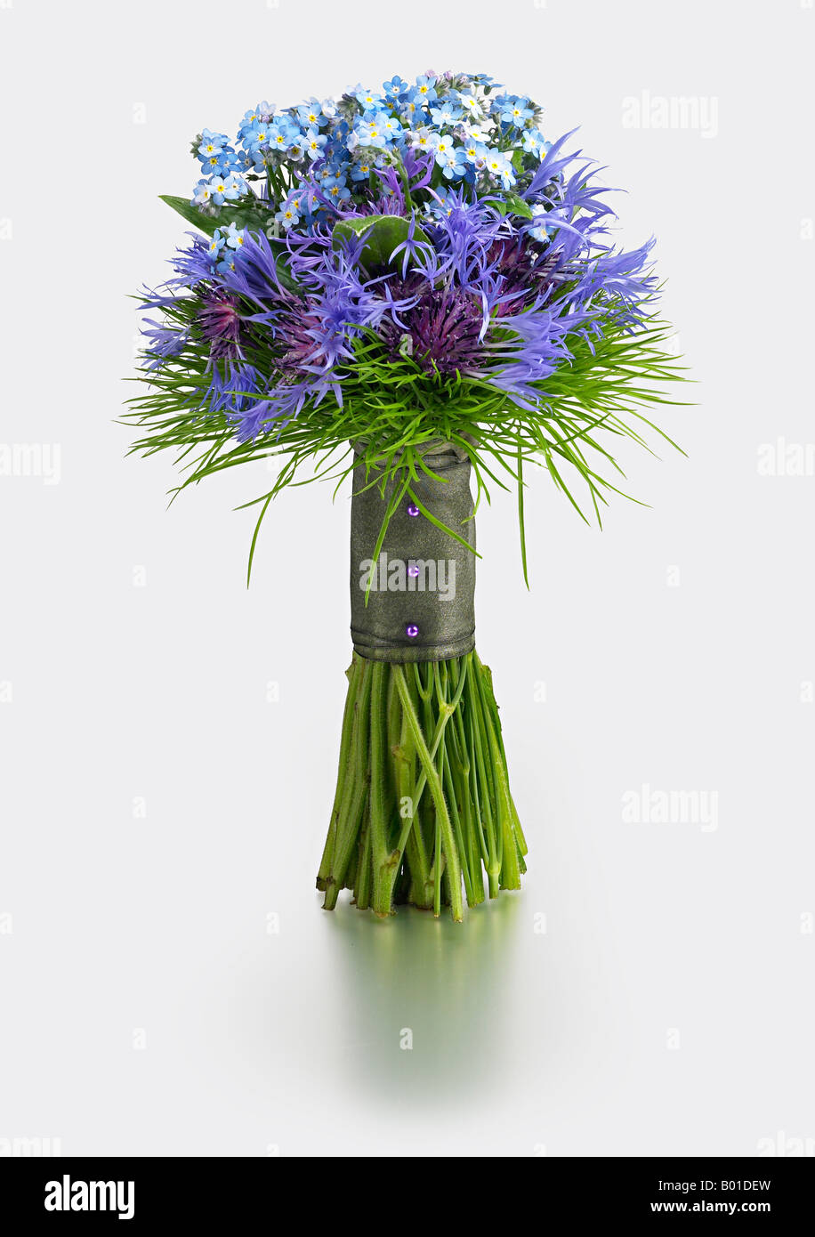 fiore inglese di mais poesy fiore Foto Stock