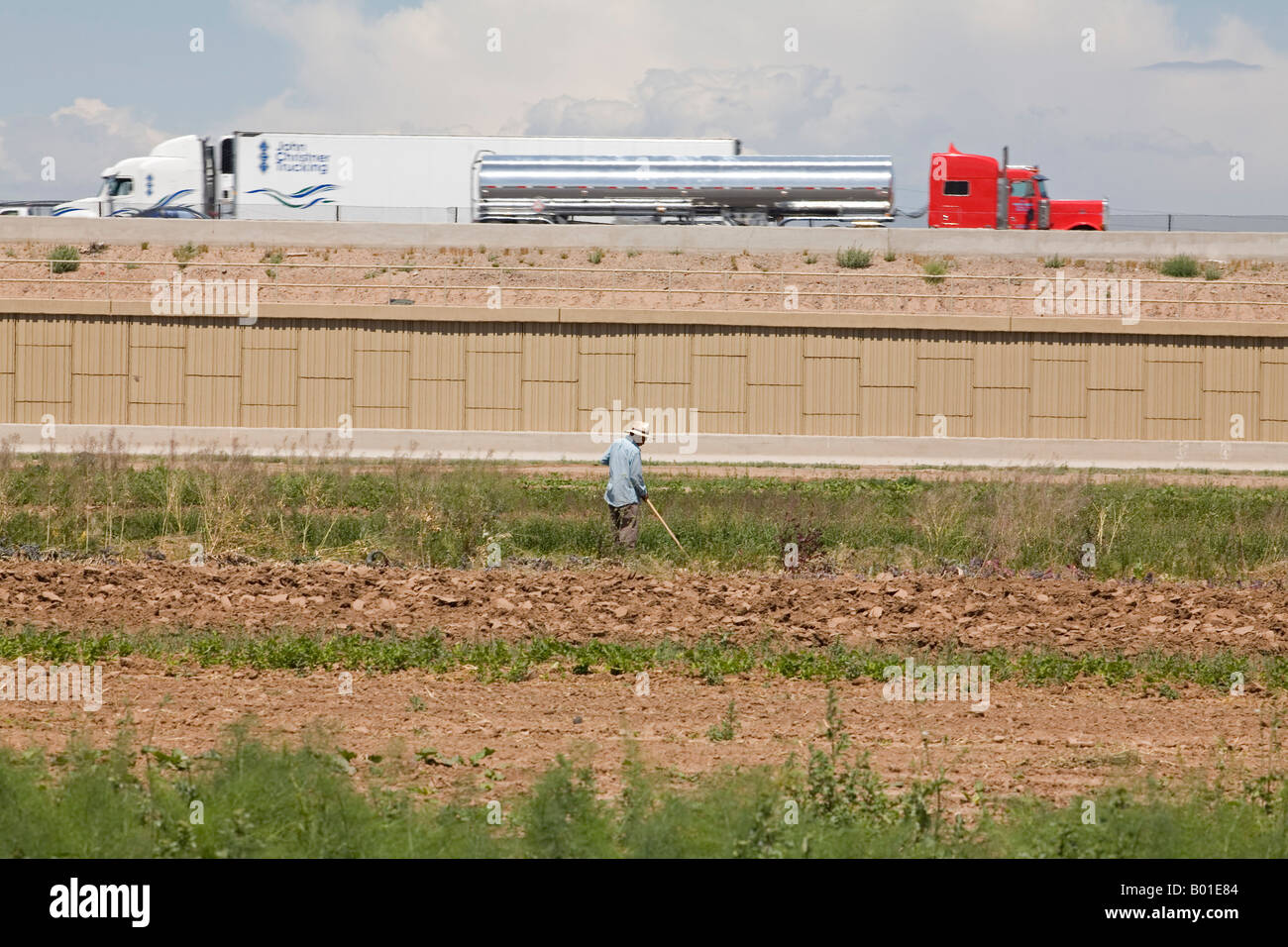 Comunità supportato l'agricoltura su piccola fattoria in Phoenix Foto Stock