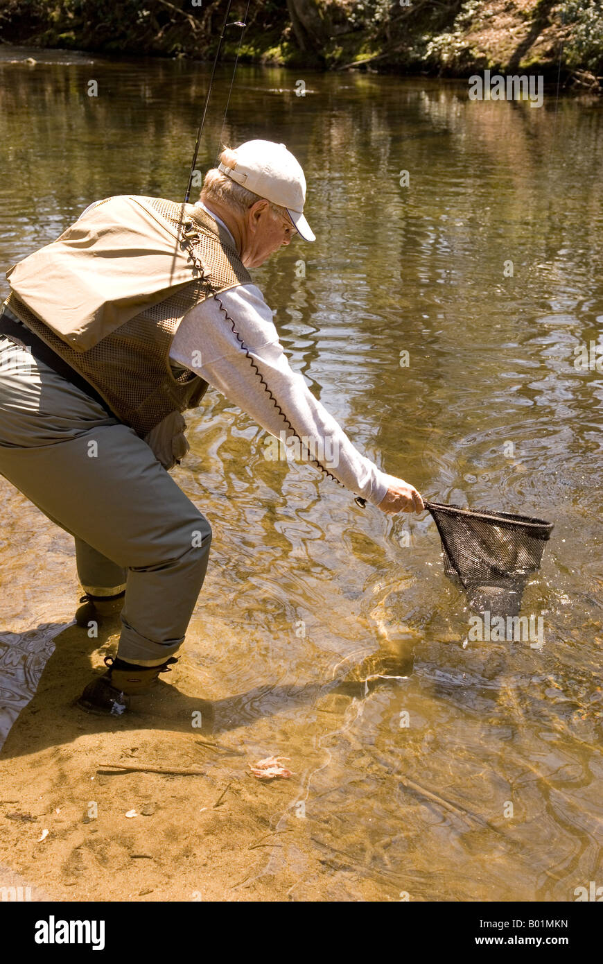 Uomo caucasico (60-65) pesci nel flusso di fiume Davidson campeggio nei pressi di Brevard North Carolina USA Foto Stock