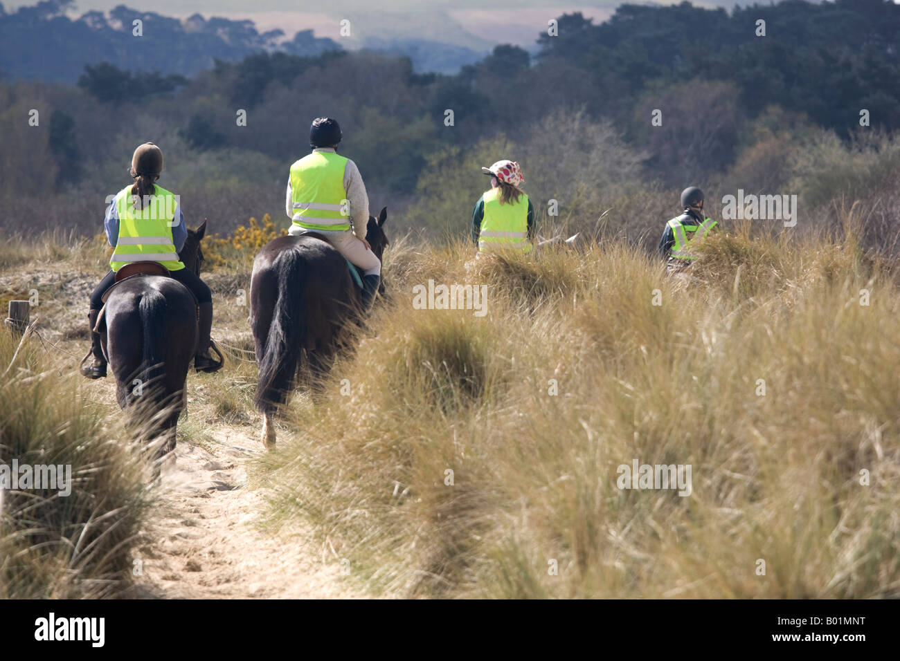 I piloti a cavallo sulle dune Studland Dorset Regno Unito Foto Stock