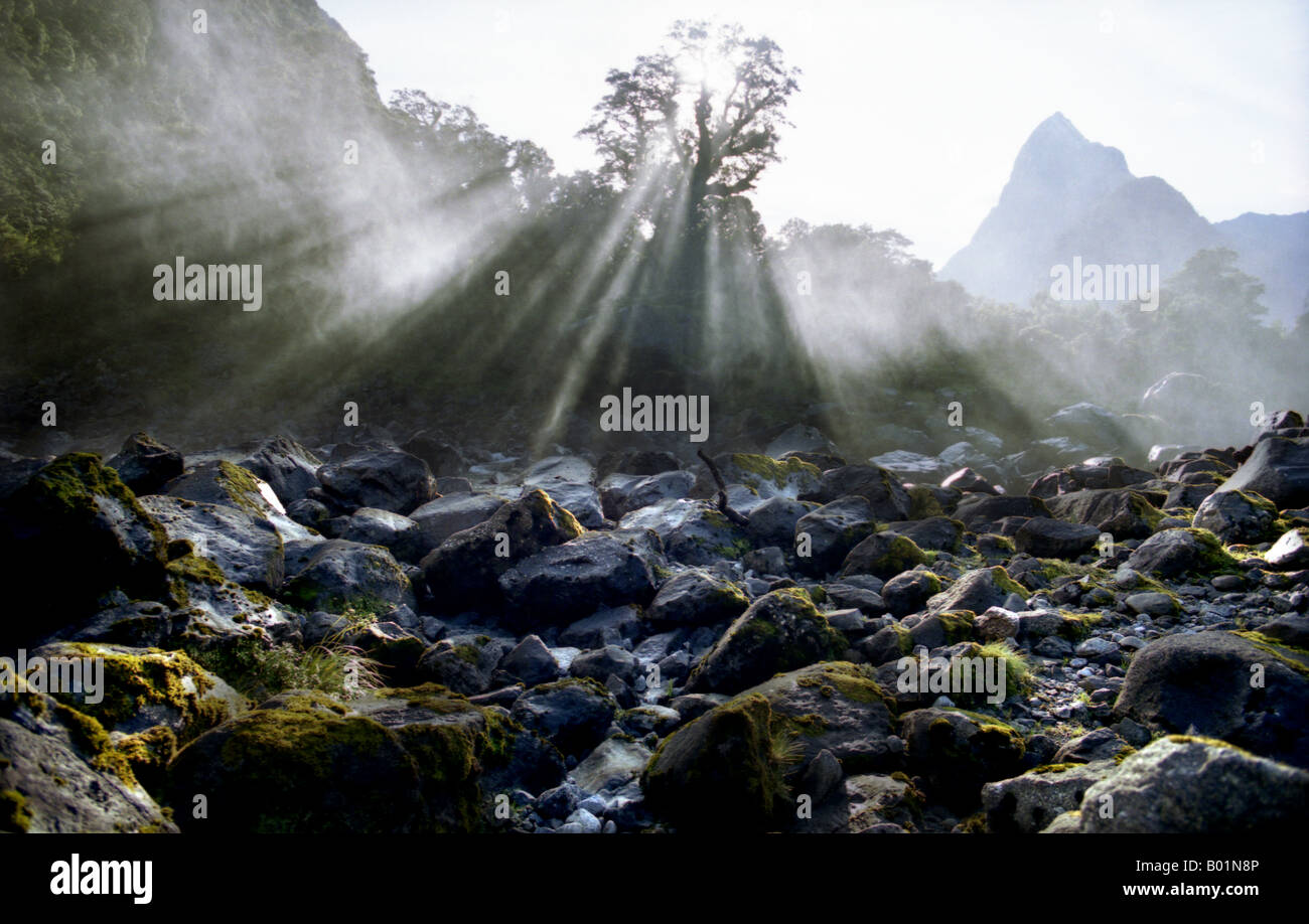 La luce del sole si rompe attraverso la nebbia a Milford Sound Isola del Sud della Nuova Zelanda Foto Stock