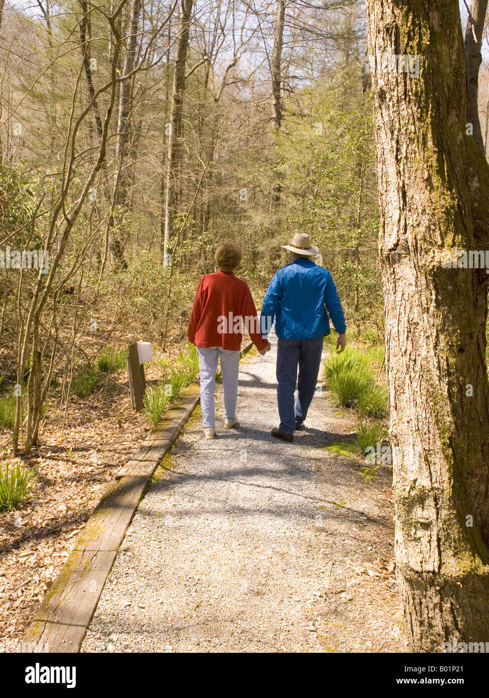 Caucasian giovane (50-55) escursioni sentiero Davidson fiume campeggio nei pressi di Brevard North Carolina USA Foto Stock