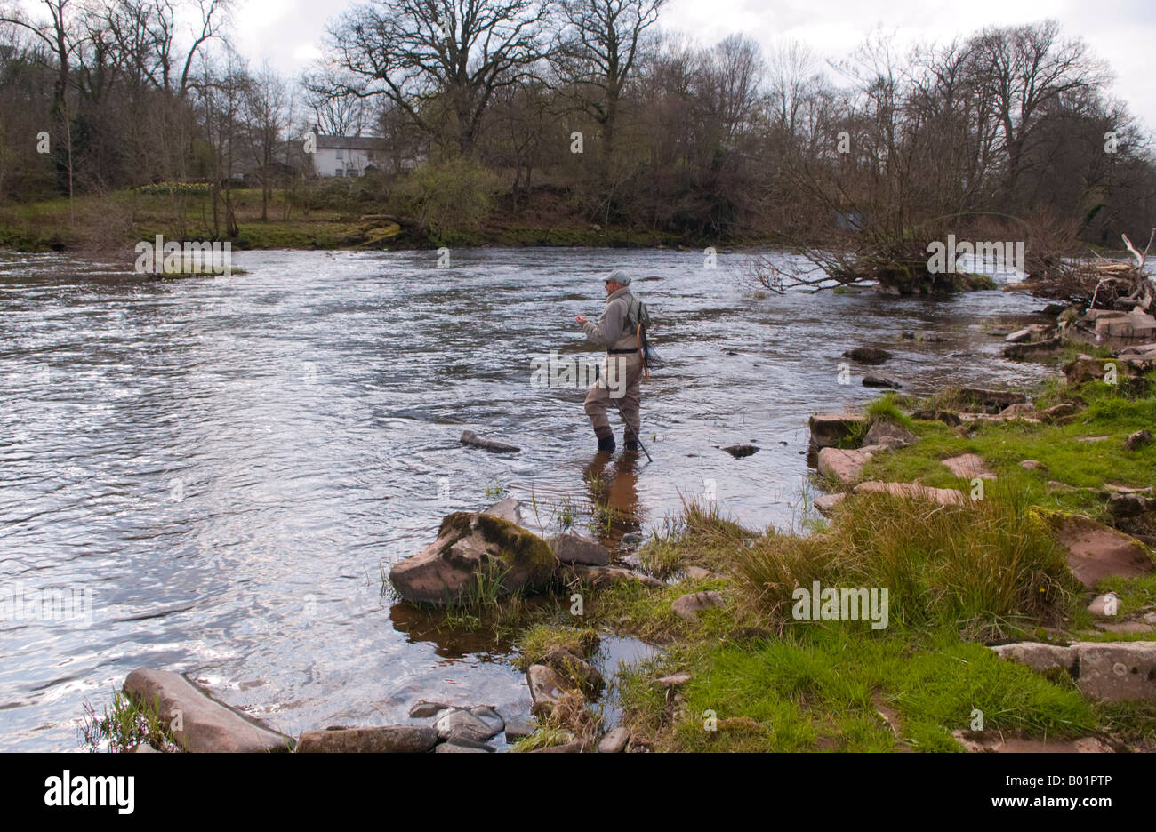 Pesca sportiva autore e giornalista emittente Charles Rangeley Wilson pesca a mosca per trote fario selvatiche sul fiume Usk a Gliffaes Foto Stock