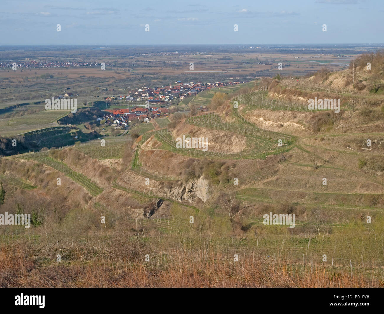 Vista sui vigneti con terrazze a Kaiserstuhl Baden Württemberg Baden Württemberg Germania Foto Stock