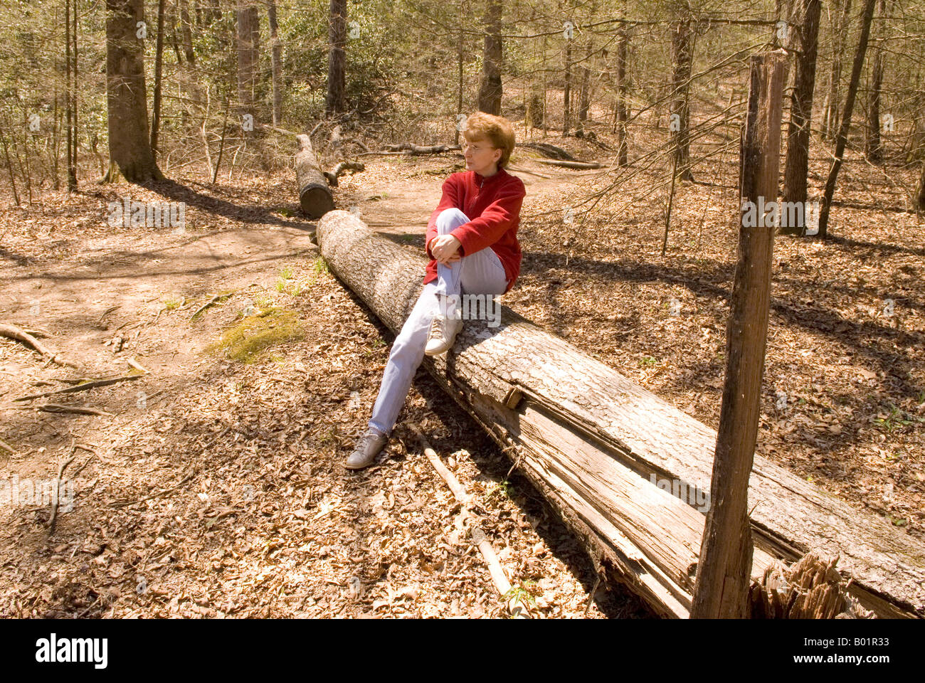 La donna caucasica (50-55) si appoggia sul registro durante le escursioni su un sentiero al fiume Davidson campeggio nei pressi di Brevard North Carolina USA Foto Stock