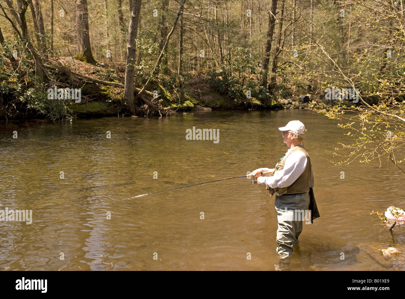Uomo caucasico (60-65) pesci nel flusso di fiume Davidson campeggio nei pressi di Brevard North Carolina USA Foto Stock