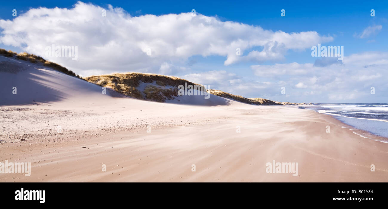 Sabbia soffiata attraverso le dune di Druridge Bay sulla costa Northumbrian, Northumberland, Inghilterra Foto Stock