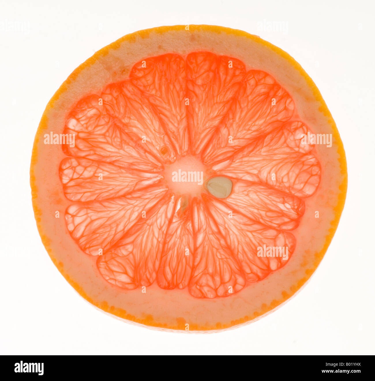 Rosso rubino di pompelmi e di pomeli Foto Stock
