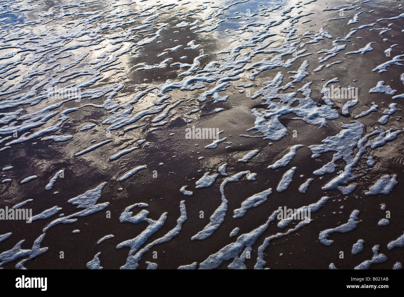 Schiuma di Mare sul bagnato sabbie della Baia di Druridge Northumberland, Inghilterra Foto Stock