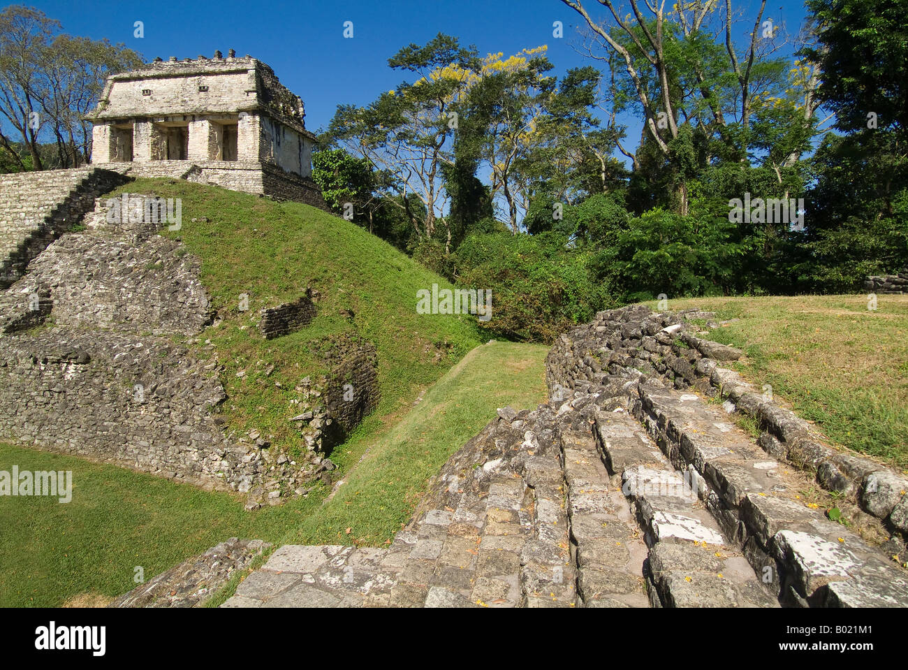 Le rovine maya di Palenque Foto Stock