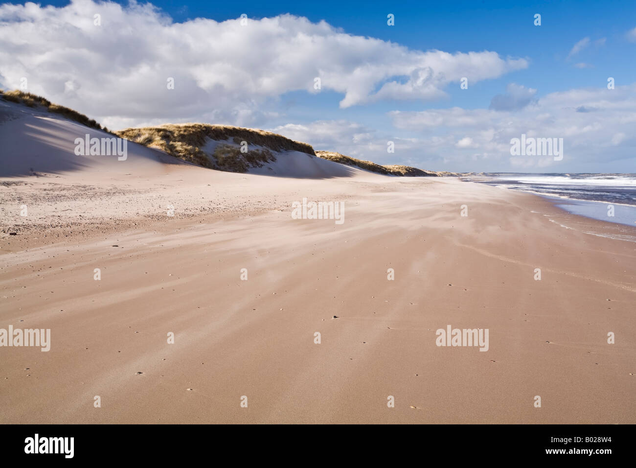 Sabbia soffiata attraverso le dune di Druridge Bay sulla costa Northumbrian Northumberland, Inghilterra Foto Stock