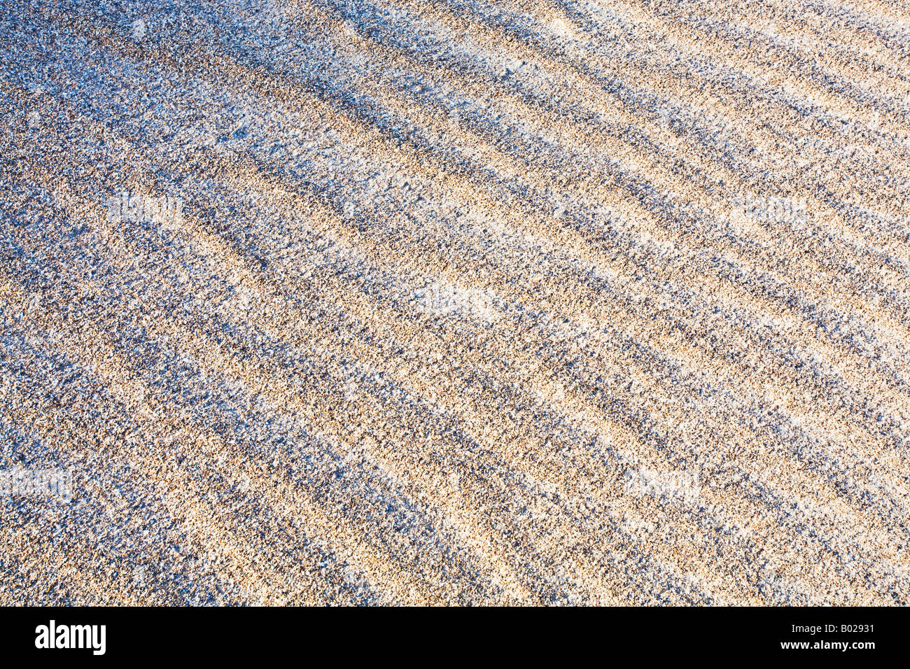 Increspature di sabbia sulle dune di Druridge Bay sulla costa Northumbrian, Northumberland, Inghilterra Foto Stock