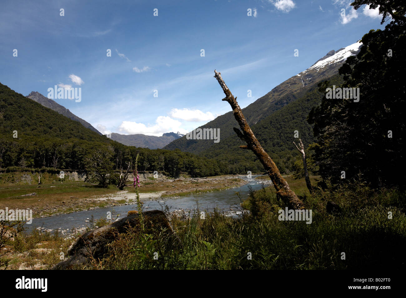 La Siberia esperienza bush a piedi attraverso la valle Wilkin nel montare gli aspiranti World Heritage National Park, Isola del Sud, Nuova Zelanda Foto Stock