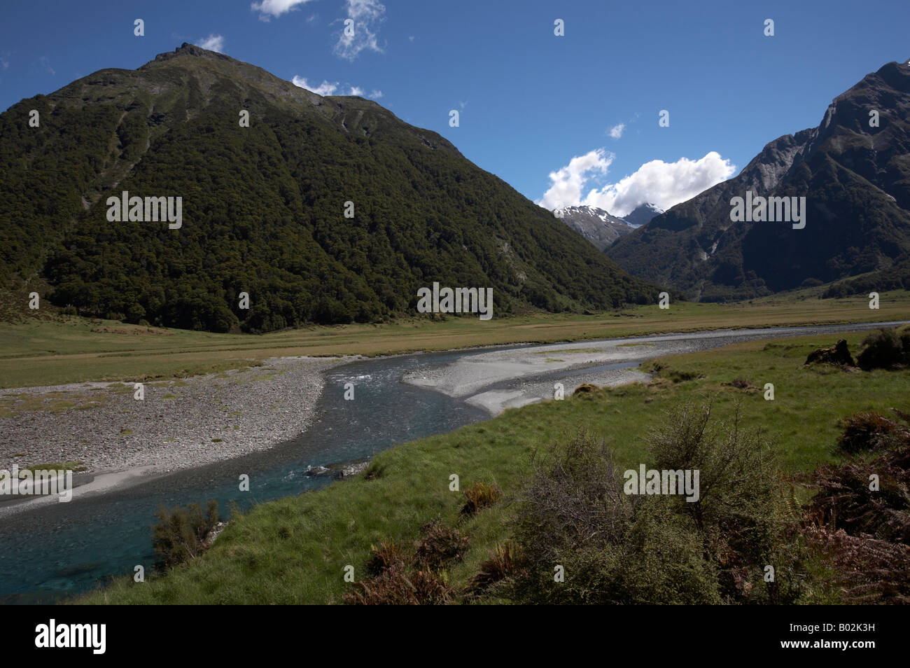 La Siberia esperienza bush a piedi attraverso la valle Wilkin, montare gli aspiranti World Heritage National Park, Isola del Sud, Nuova Zelanda Foto Stock