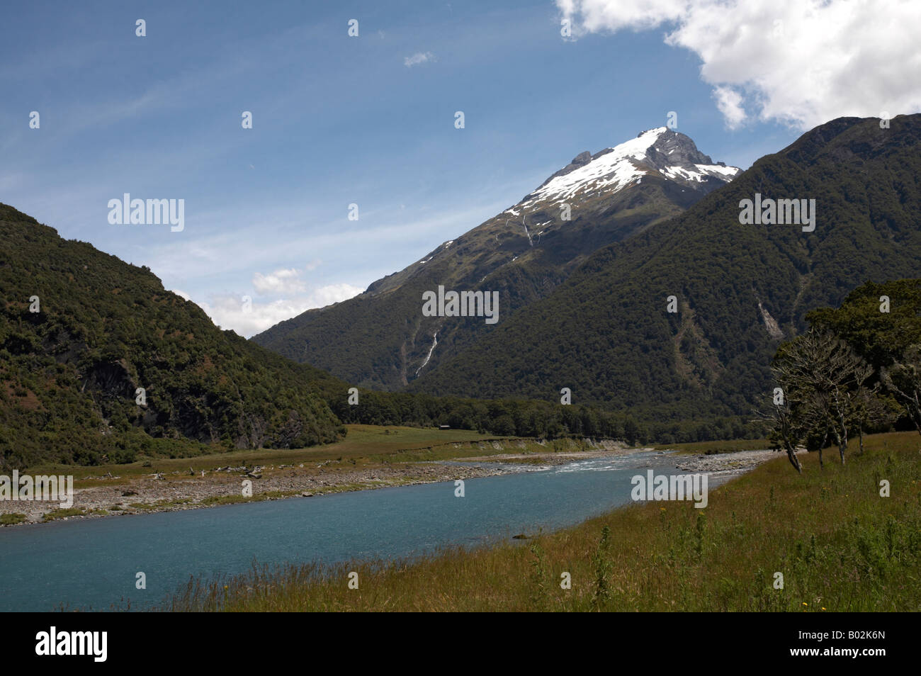 La Siberia esperienza bush a piedi attraverso la valle Wilkin nel montare gli aspiranti World Heritage National Park, Isola del Sud, Nuova Zelanda Foto Stock