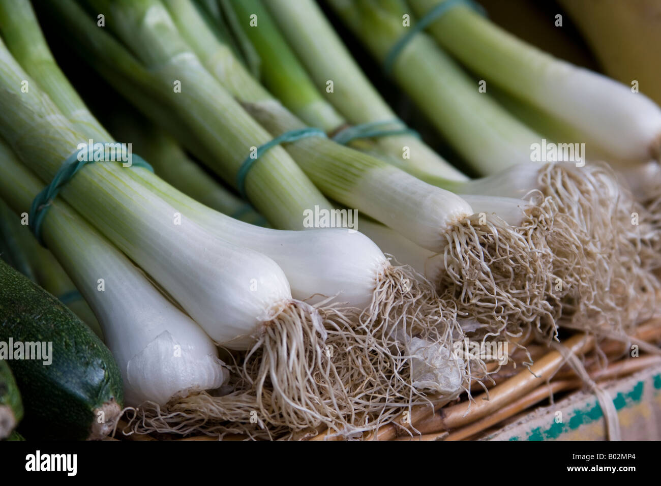 Organici di cipolline - Mercato di Norwich Norfolk Foto Stock