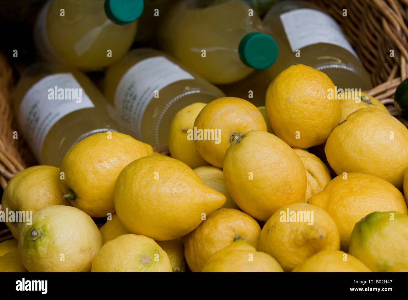 Limoni organico nel mercato di Norwich Foto Stock