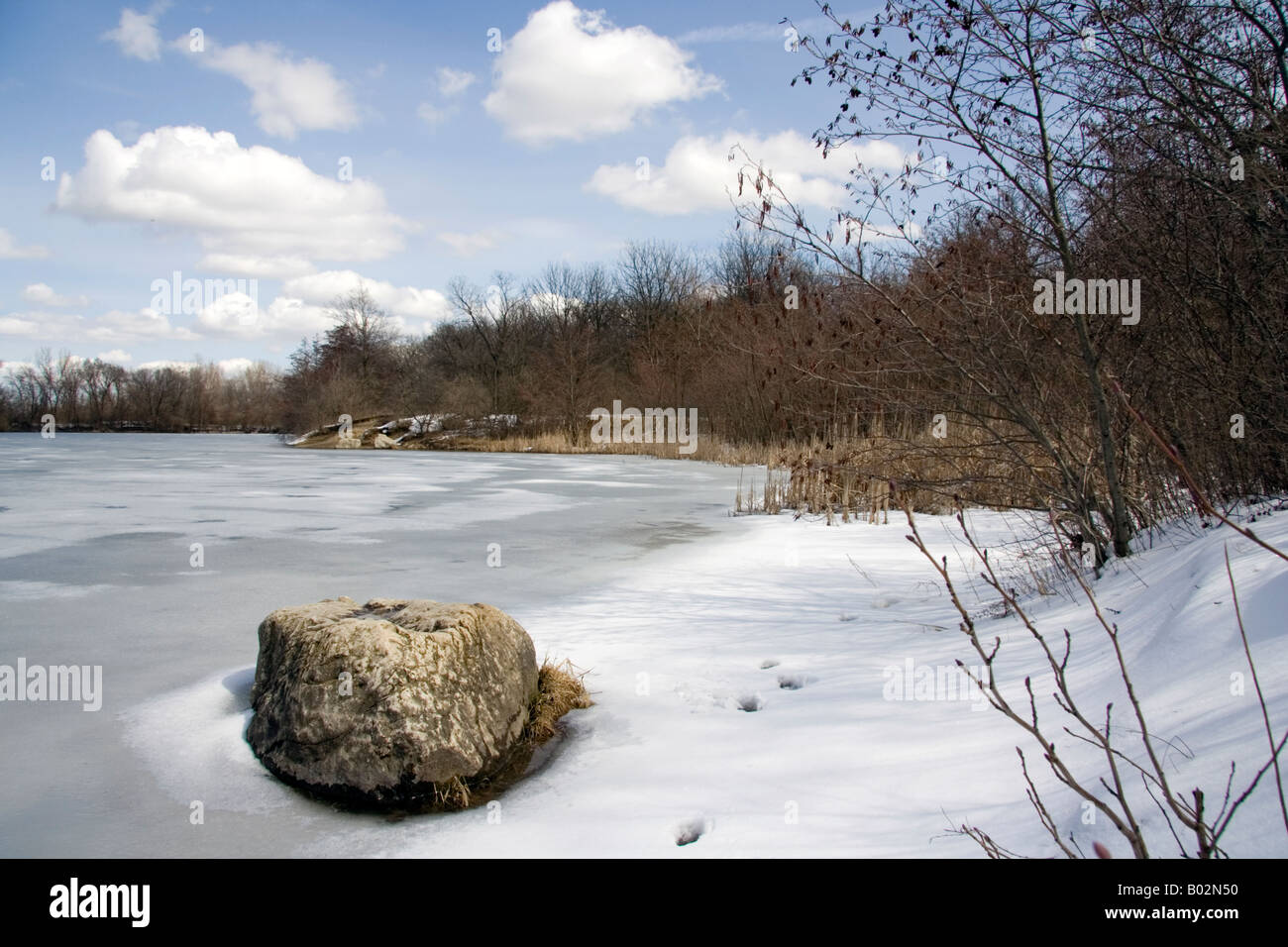 Inverno al lago nascosto Forest Preserve. DuPage County Foto Stock