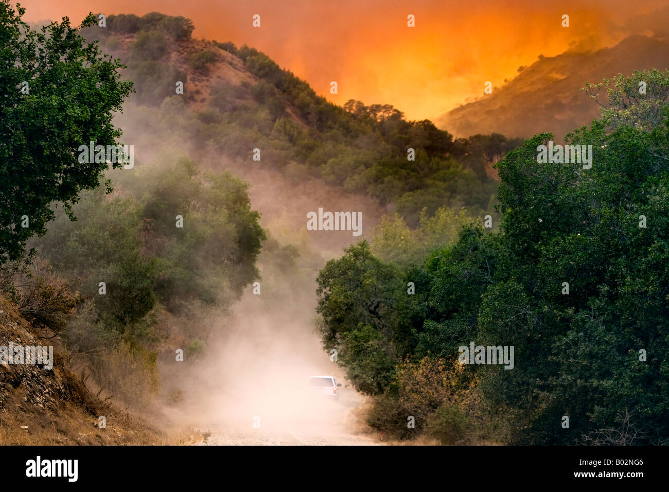 50.000 acri di California wildfire presso Henry Coe stato parco a sud di San Jose combattuto da CAL Fire CDF Foto Stock