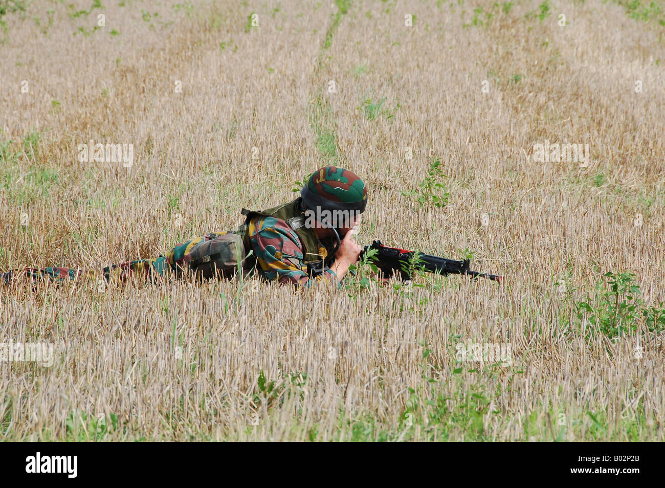 Paracadutisti belga in guardia nei campi. Foto Stock