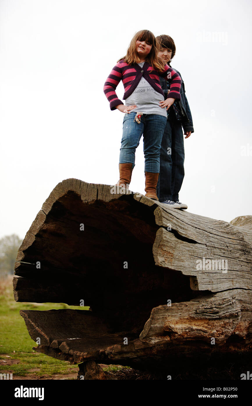 Fratello e Sorella in piedi su albero caduto. Foto Stock