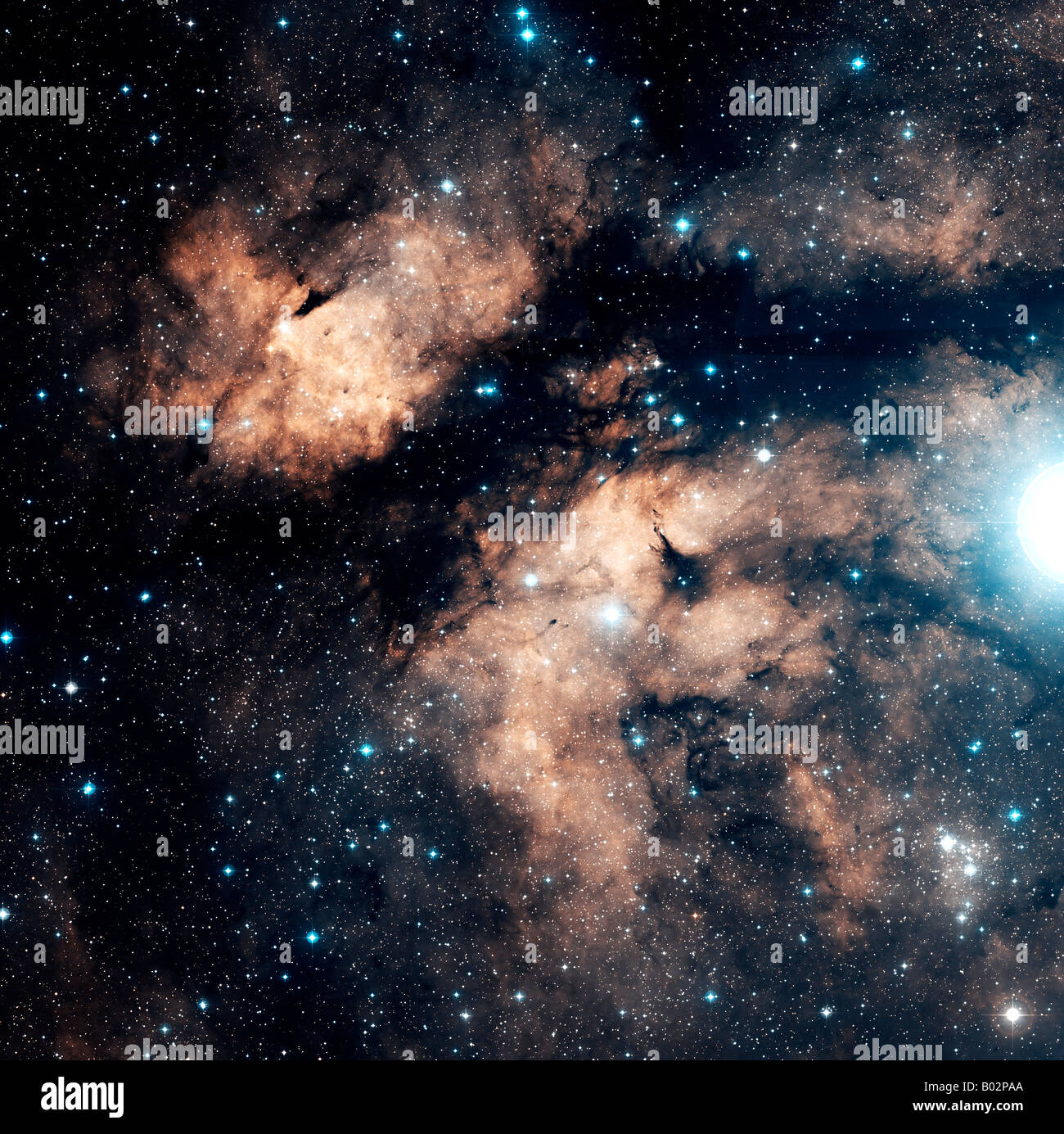 La Butterfly Nebula (DWB 67, 72, 76, 81) è una emissione luminosa nebulosa che si trova nella costellazione del Cigno Foto Stock