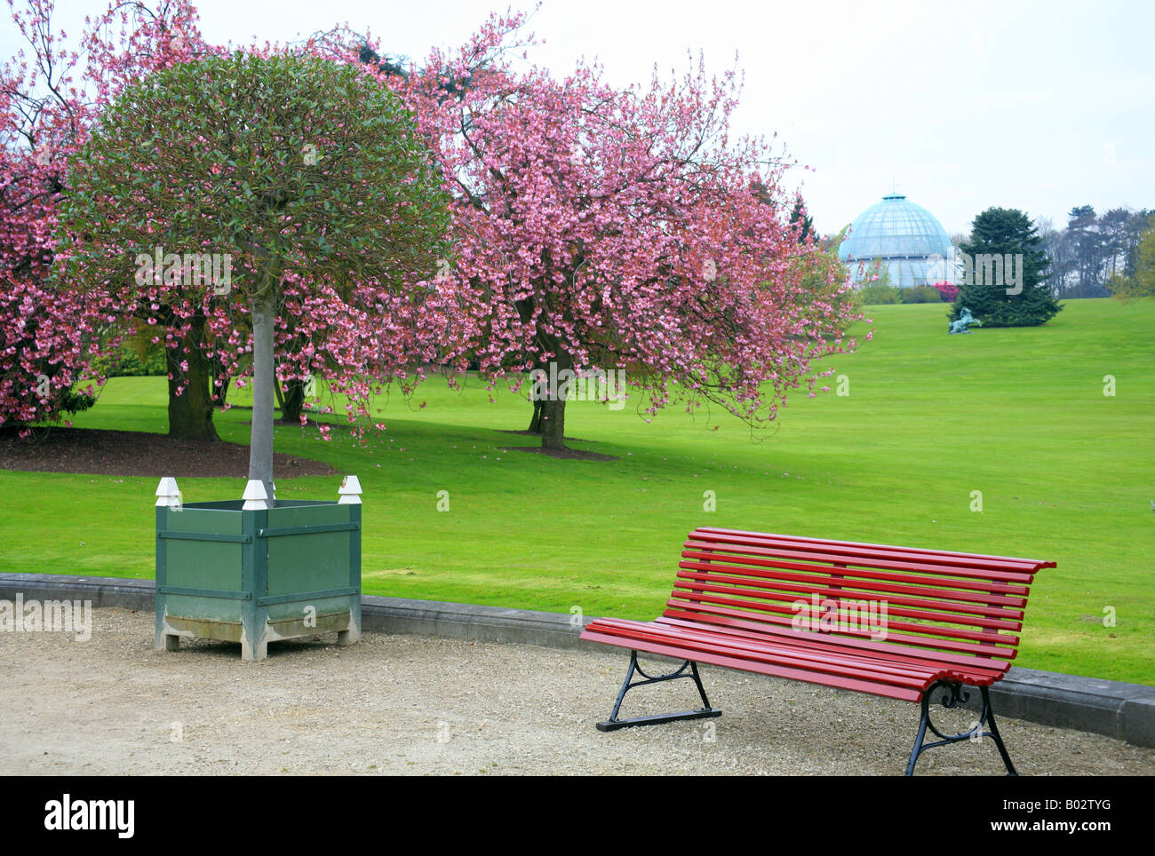 Royal serre (Les Serres Royales de Laeken) a Laeken Bruxelles Belgio Foto Stock