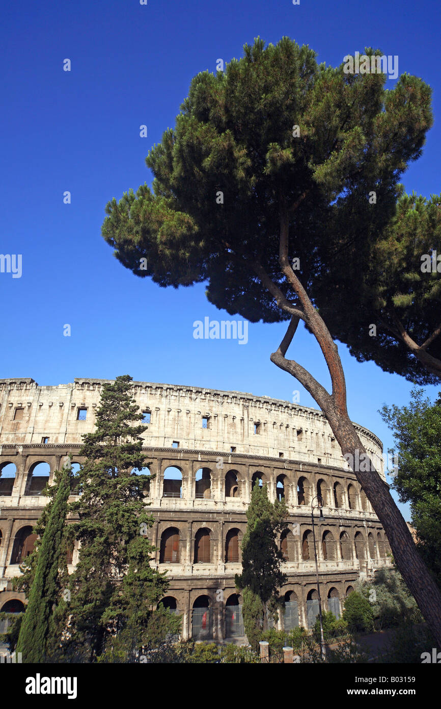 Italia Lazio Roma Colosseo Foto Stock