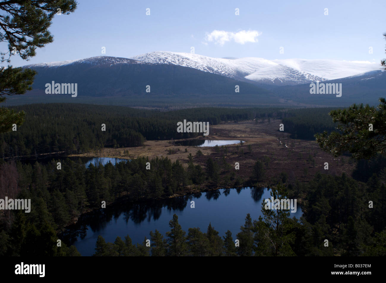 Uath Lochan, un viale alberato Scottish Loch (lago) con le montagne sullo sfondo. Foto Stock