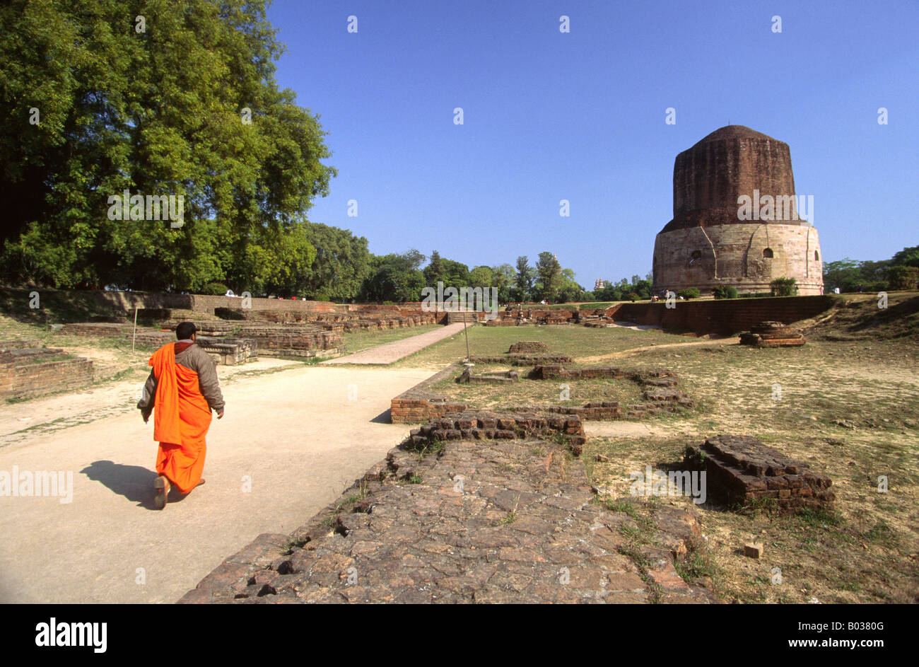 India Uttar Pradesh Varanasi Sarnath Dhamekh Stupa 500annuncio sul posto in cui Buddha predicò il suo primo sermone Foto Stock
