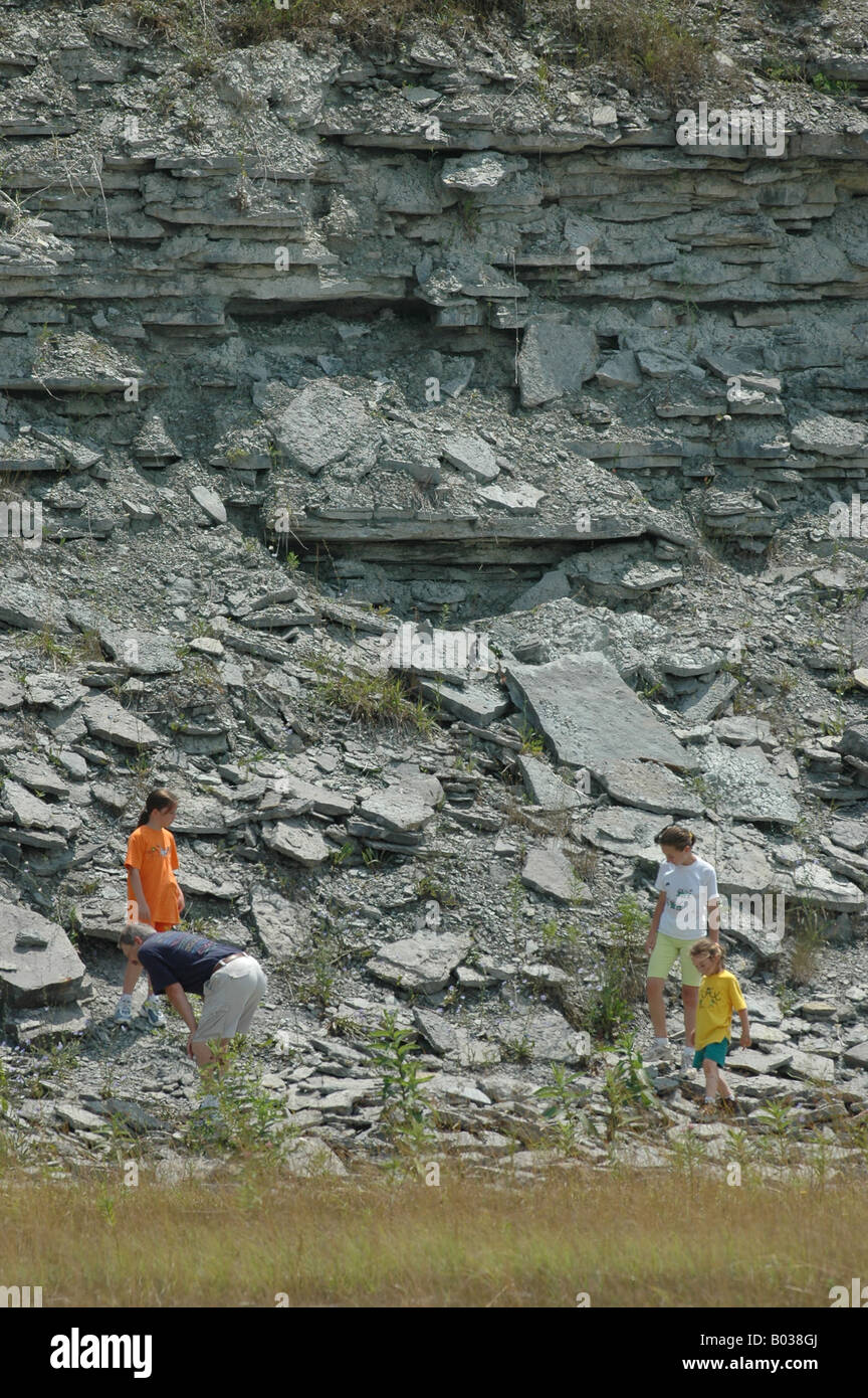 Raccolta di fossili Cincinnatian strata Ordovician superiore periodo Foto Stock