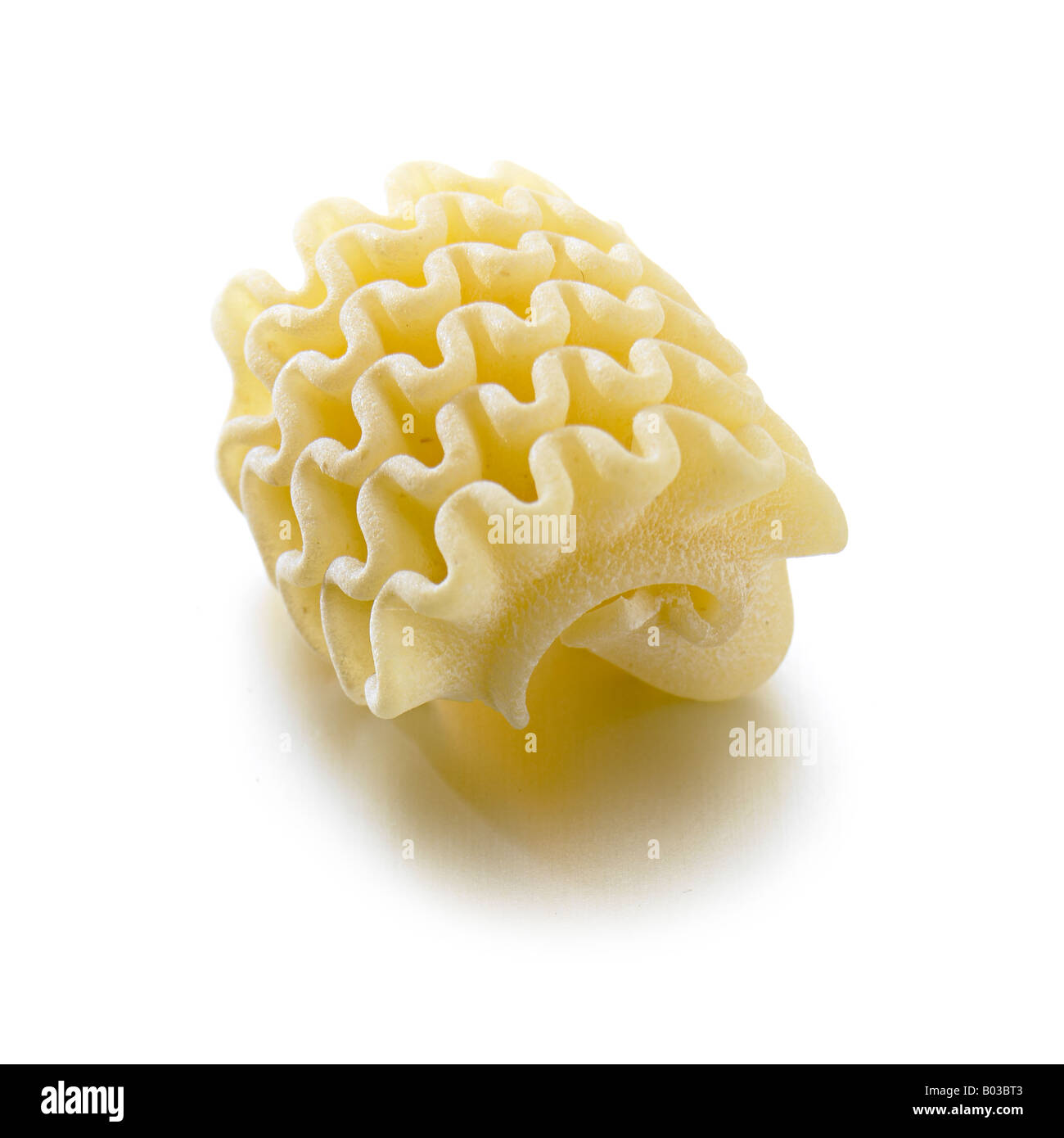 Fisarmoniche pasta close up Foto Stock