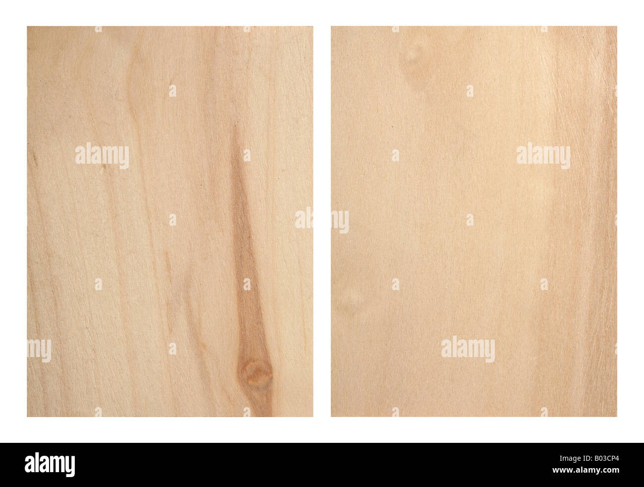 Aspen texture di legno Foto Stock Aspen texture di legno Foto Stock