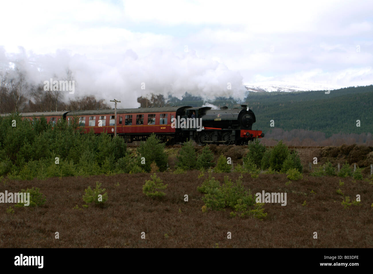 Strathspey Railway, treno a vapore che viaggia tra Aviemore e Boat of Garten. Foto Stock