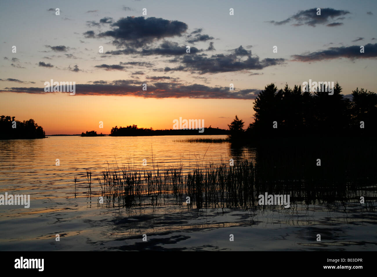Le isole e le canne stagliano dal tramonto sul Lago Kabetogama, Parco nazionale Voyageurs, Minnesota Foto Stock