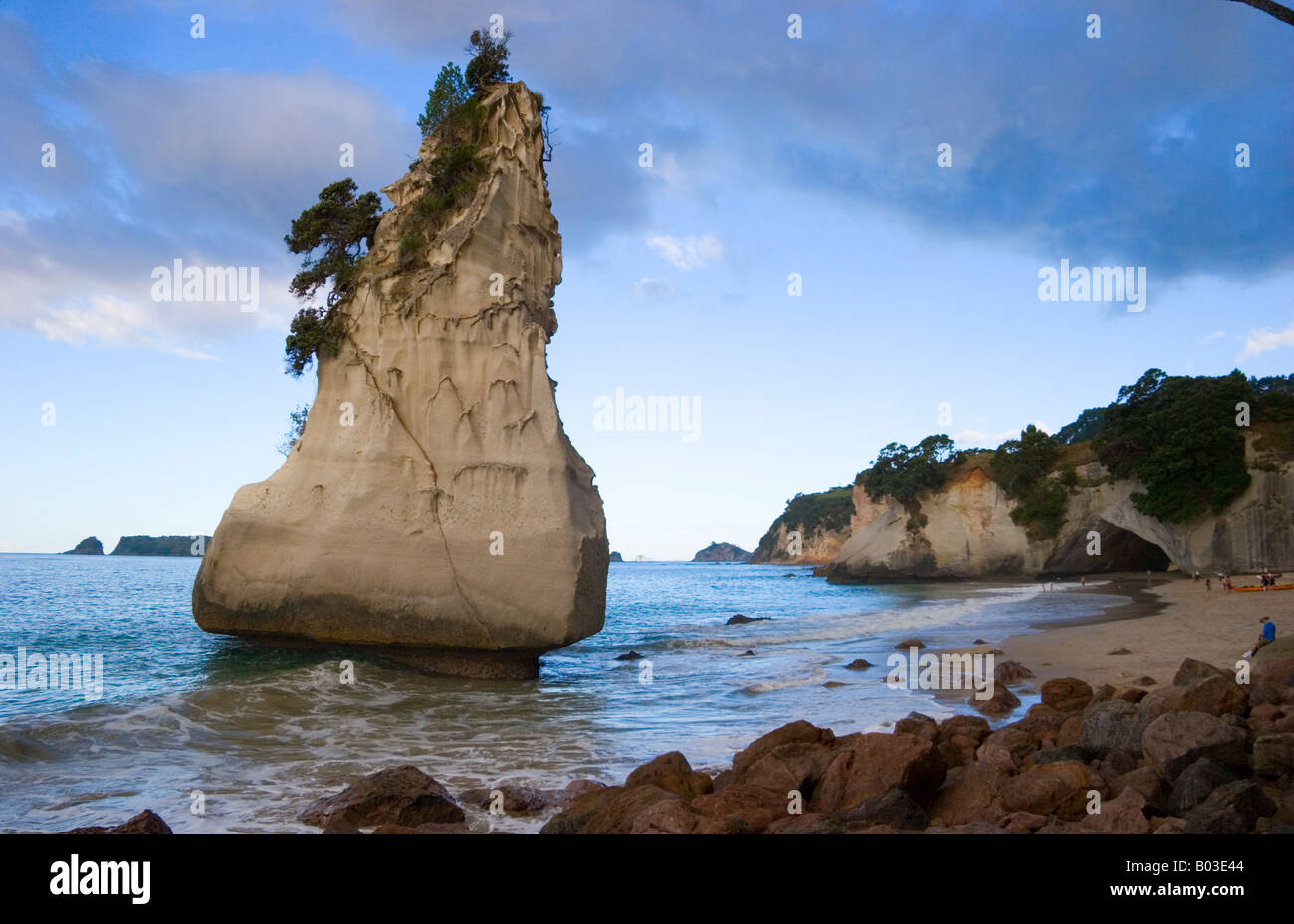 Cove Della Cattedrale Penisola di Coromandel Nuova Zelanda Foto Stock
