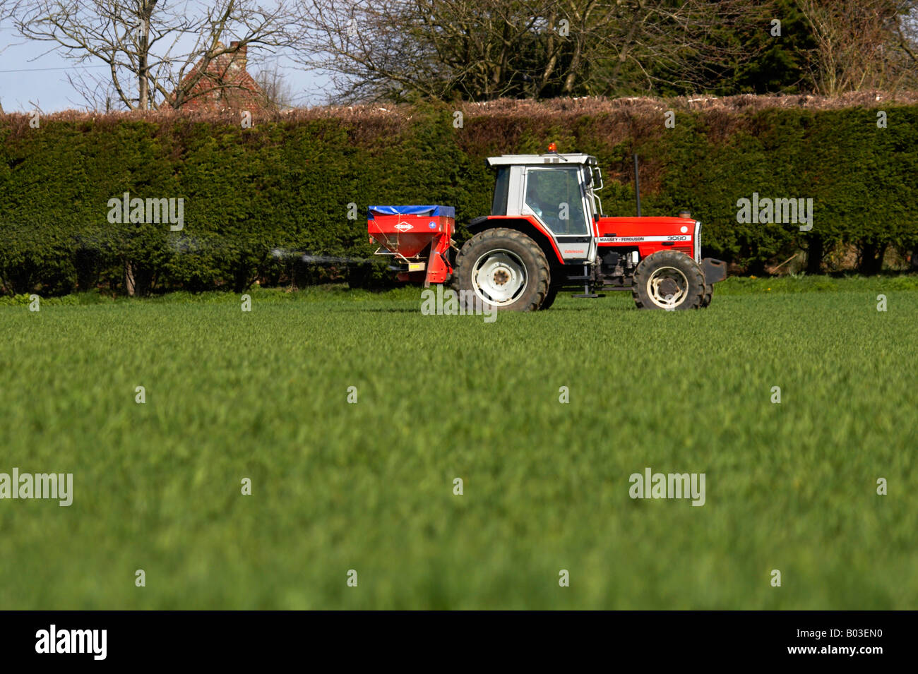 La molla irrorazione delle colture nella campagna di Norfolk Foto Stock