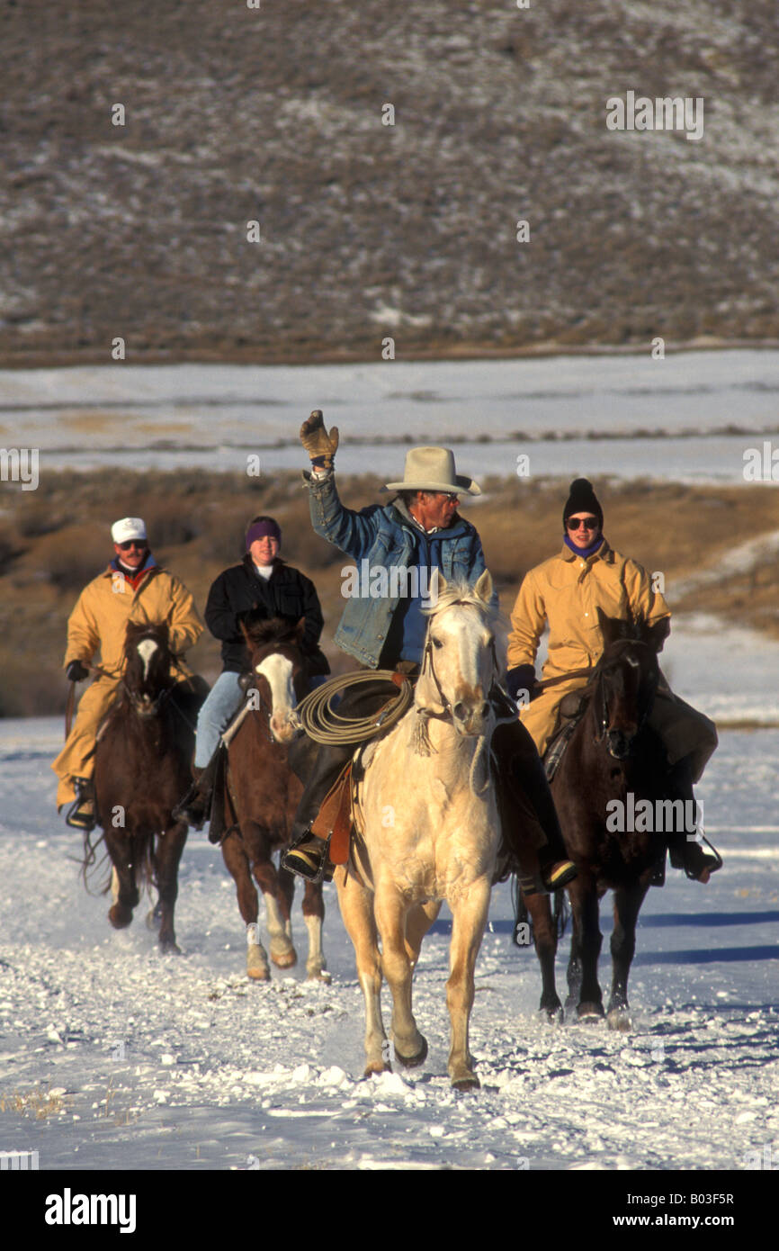 Un wrangler conduce gli ospiti indietro da un inverno ride, C pigro U Ranch, Granby, Colorado. Foto Stock