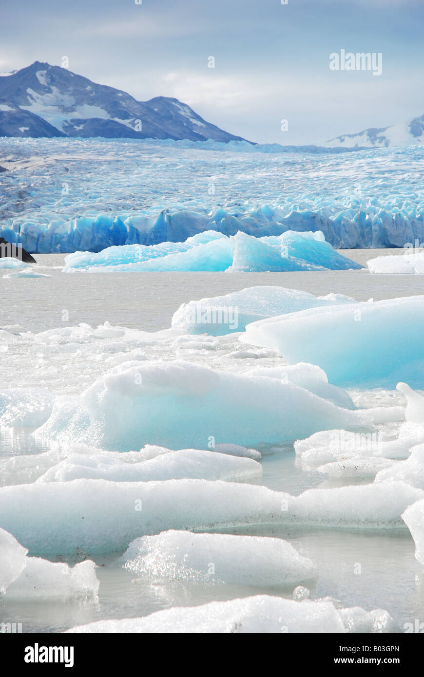 La fusione del ghiaccio dal ghiacciaio Grey nel Parco Nazionale Torres del Paine in Patagonia cilena. Foto Stock