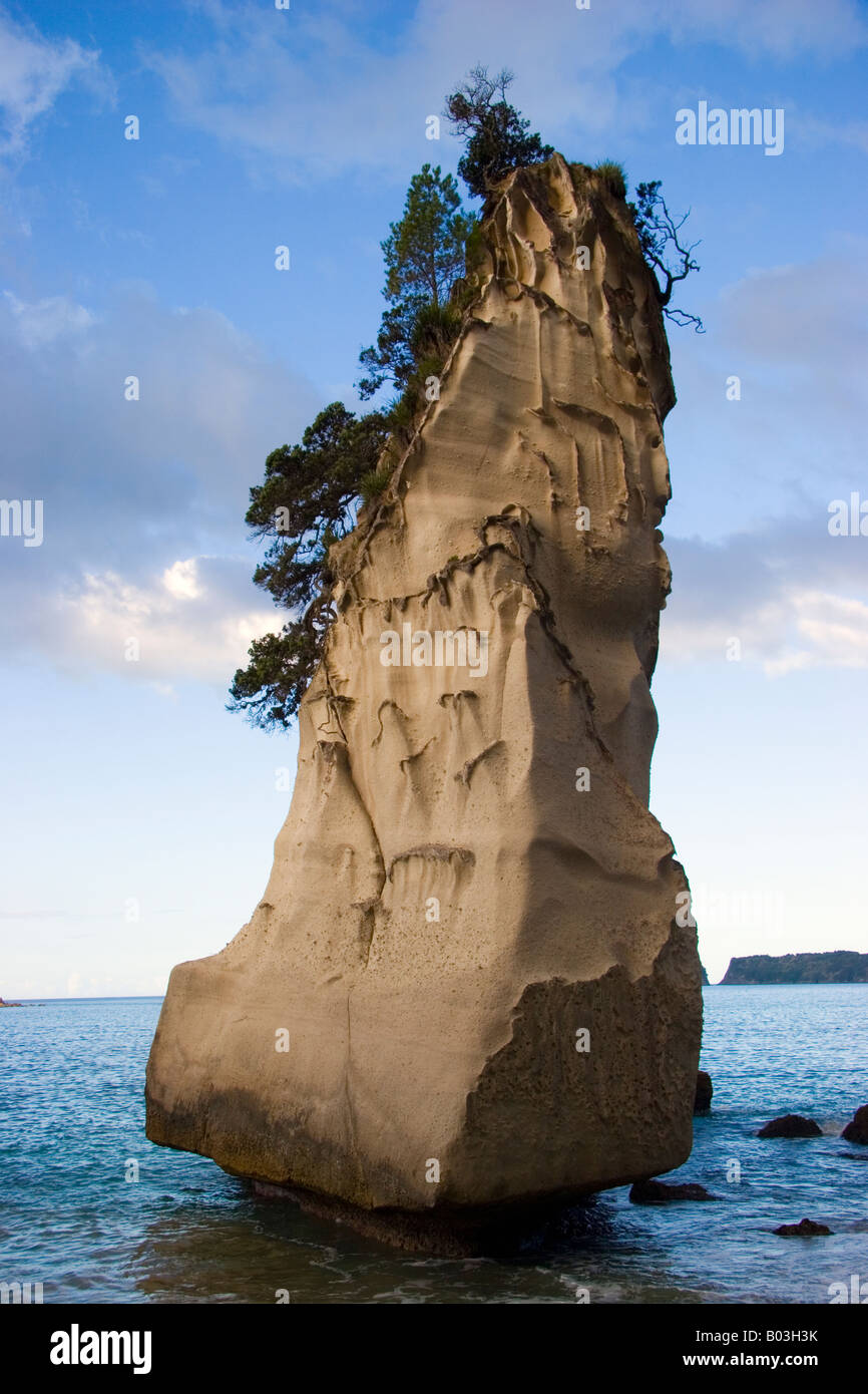Cove Della Cattedrale Penisola di Coromandel Nuova Zelanda Foto Stock
