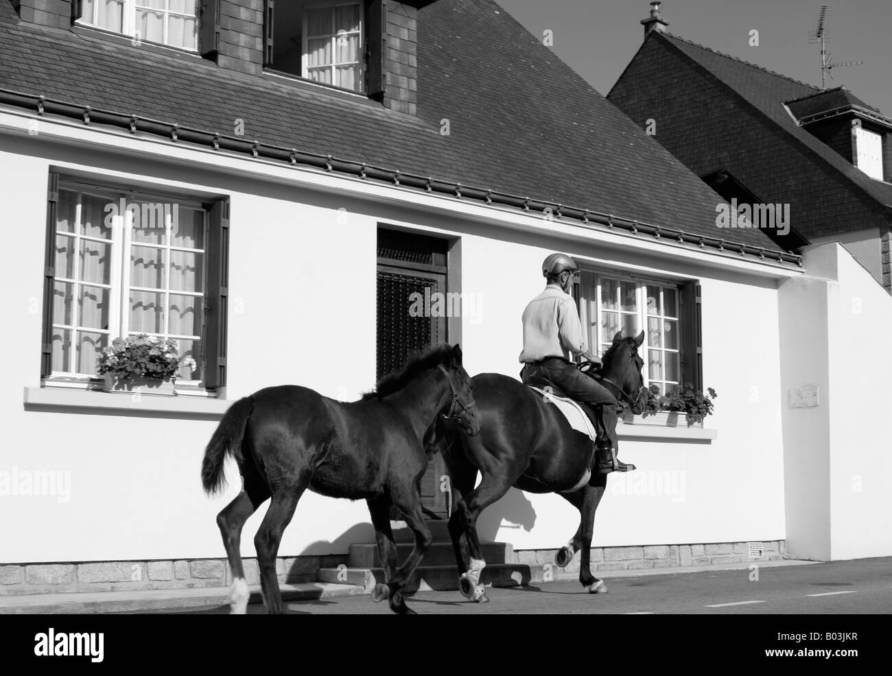 Pilota sul mare seguita da il suo puledro in città di provincia francese street Foto Stock
