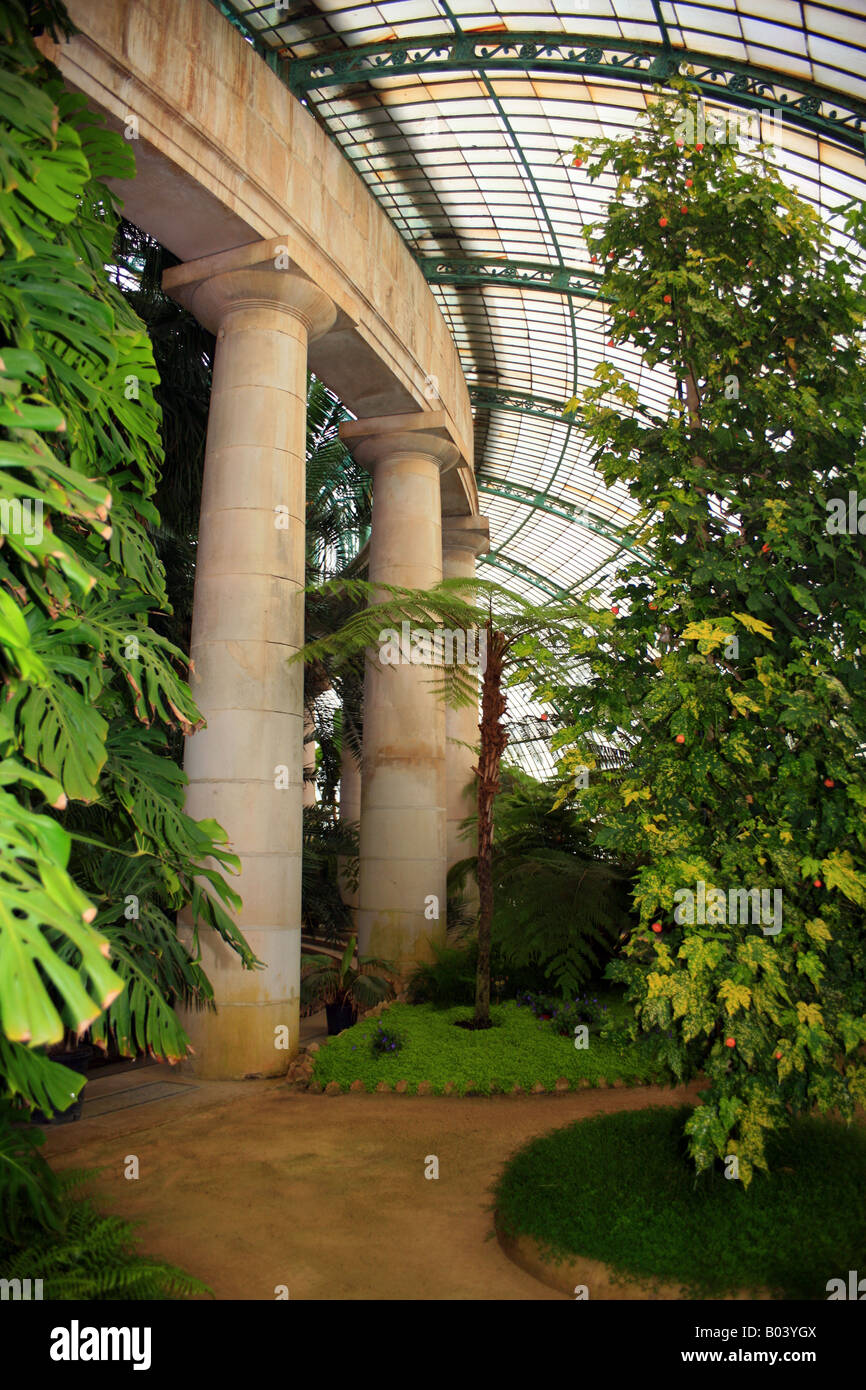 Interno del giardino d'inverno, il Royal serre, Laeken, Bruxelles, Belgio - Architetto Alphonse Balat Foto Stock