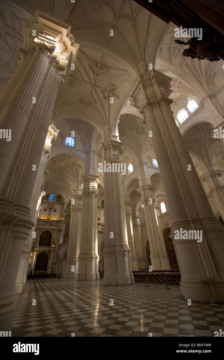 Le colonne e il tetto della Cattedrale di Granada, città di Granada, provincia di Granada, Andalusia (Andalucia), Spagna, Europa. Foto Stock