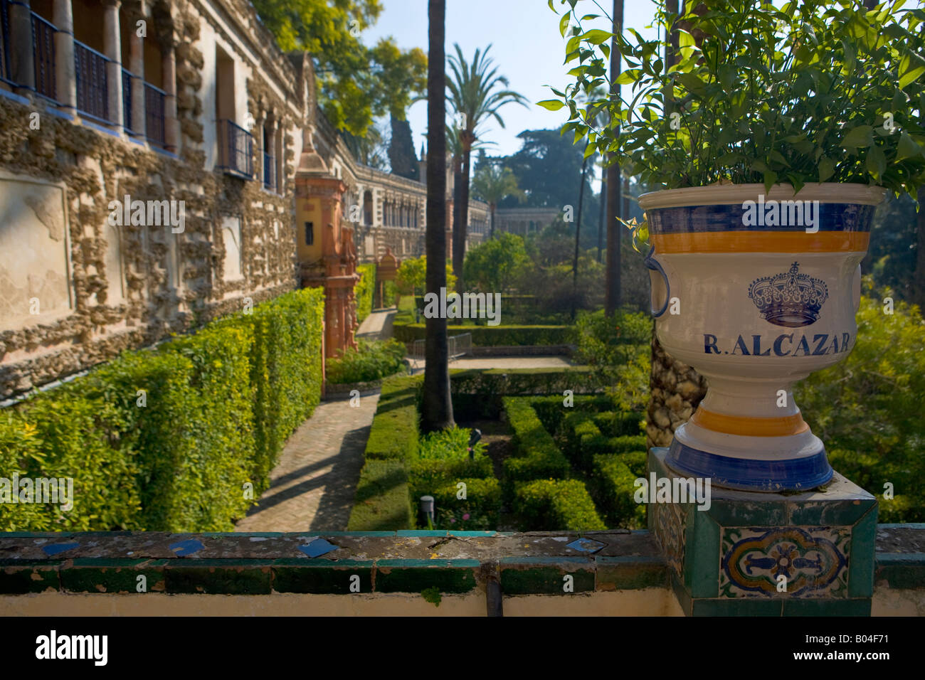 Vaso di Ceramica nei giardini dei Reales Alcazares (Palazzi Reali) - Sito Patrimonio Mondiale dell'UNESCO, il quartiere di Santa Cruz Foto Stock