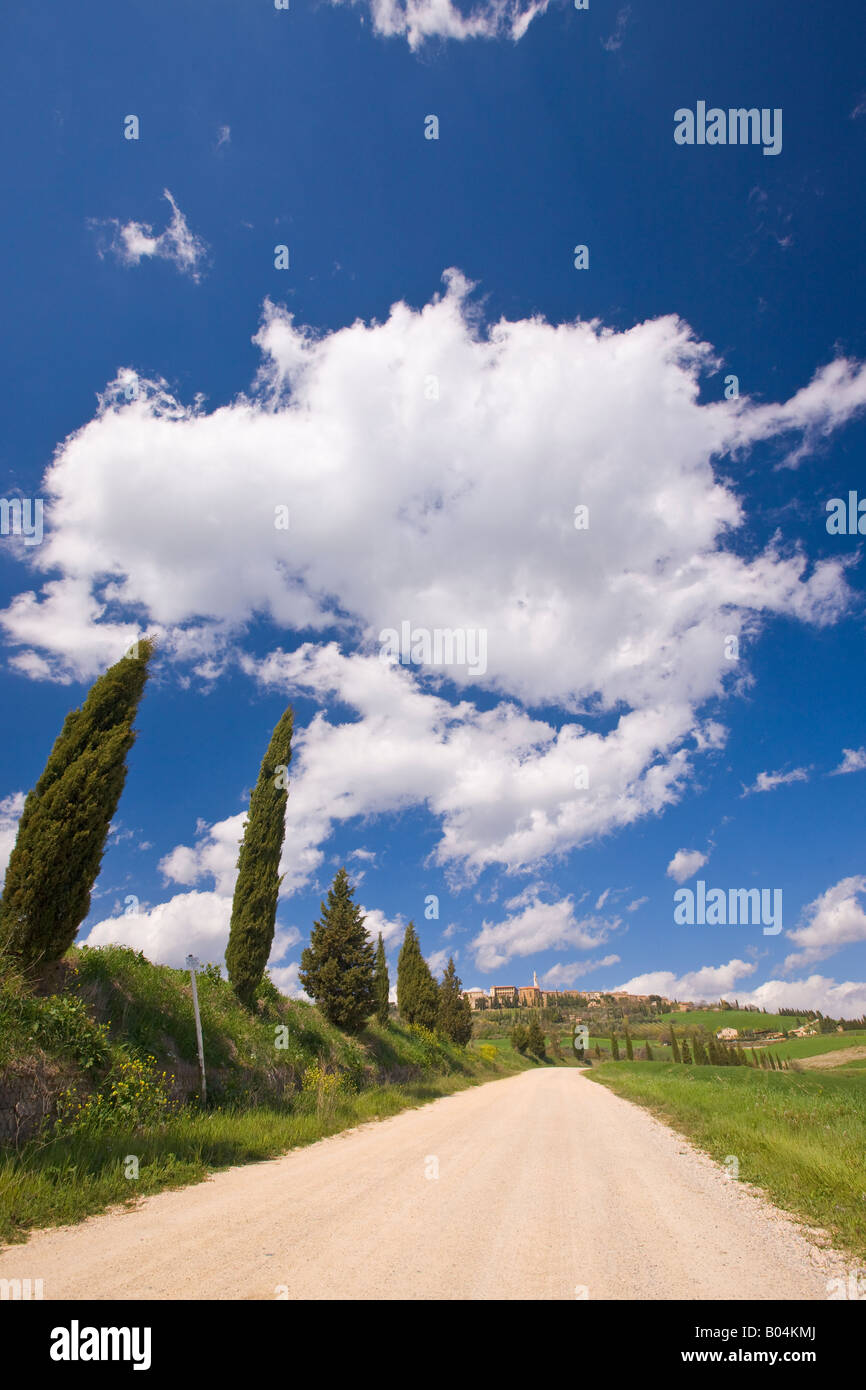 Cypress alberato di strada sterrata che conduce al centro storico della città di Pienza, provincia di Siena, Regione Toscana, Italia, Europa. Foto Stock