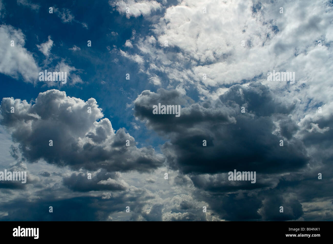 Nuvole temporale Foto Stock