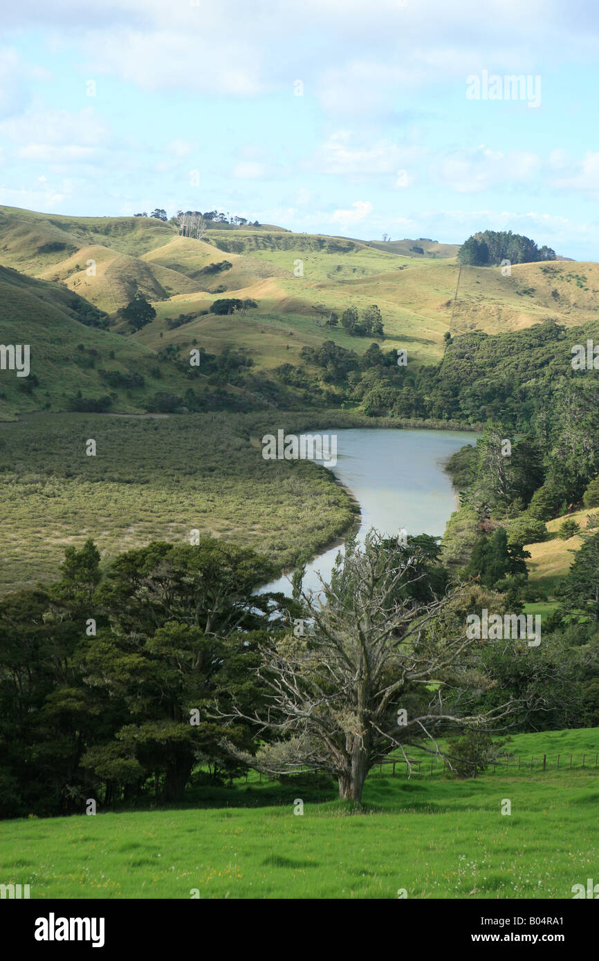 Paesaggio nei pressi di Puhoi a nord di Auckland Isola del nord della Nuova Zelanda Foto Stock