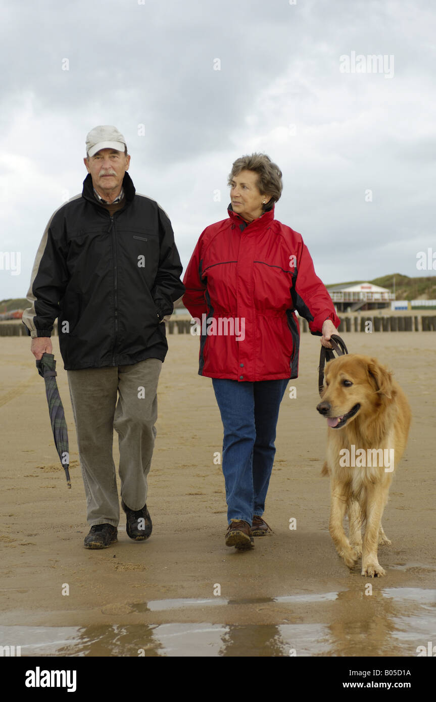 Hovawart (Canis lupus f. familiaris), Coppia senior con il cane a camminare sulla spiaggia, Paesi Bassi Foto Stock