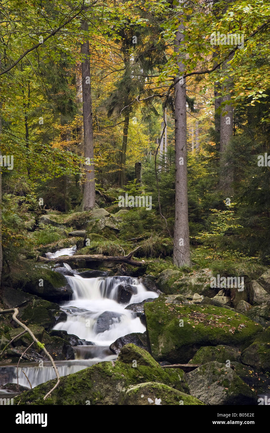Ilse creek, Germania, Sassonia-Anhalt, Ilsetal Foto Stock