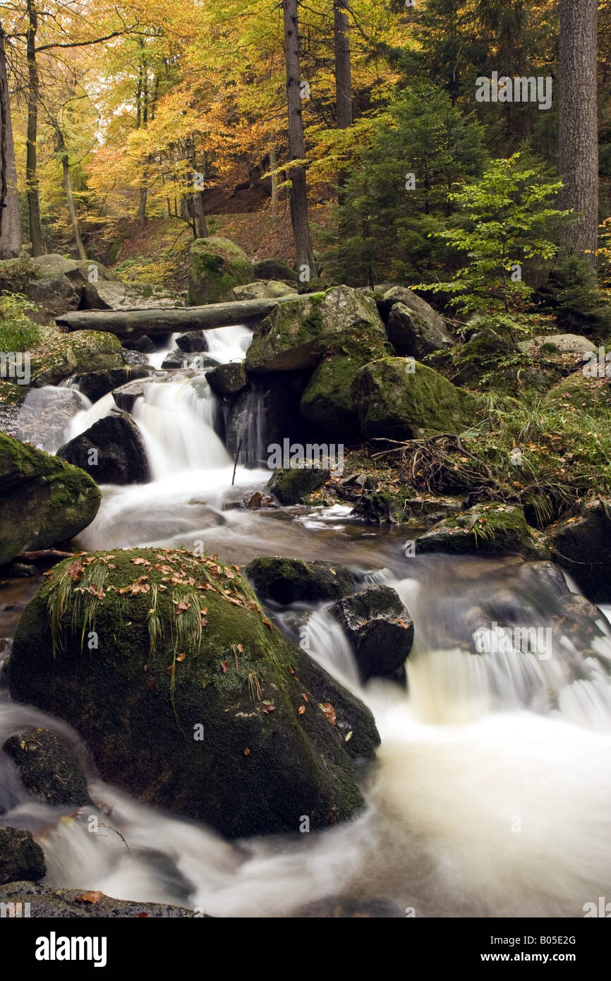 Ilse creek, Germania, Sassonia-Anhalt, Ilsetal Foto Stock